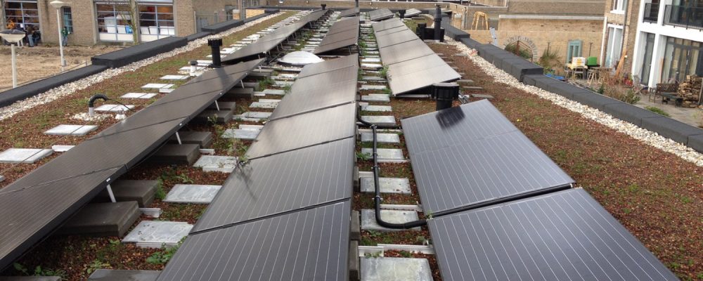 Triple Solar Amundsenhof PVT panelen met groendak 01