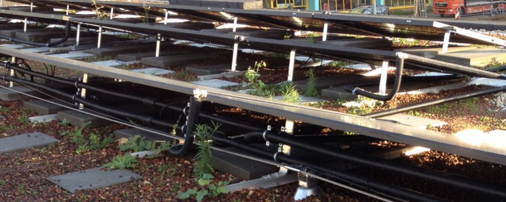 Triple Solar Amundsenhof PVT panelen met groendak