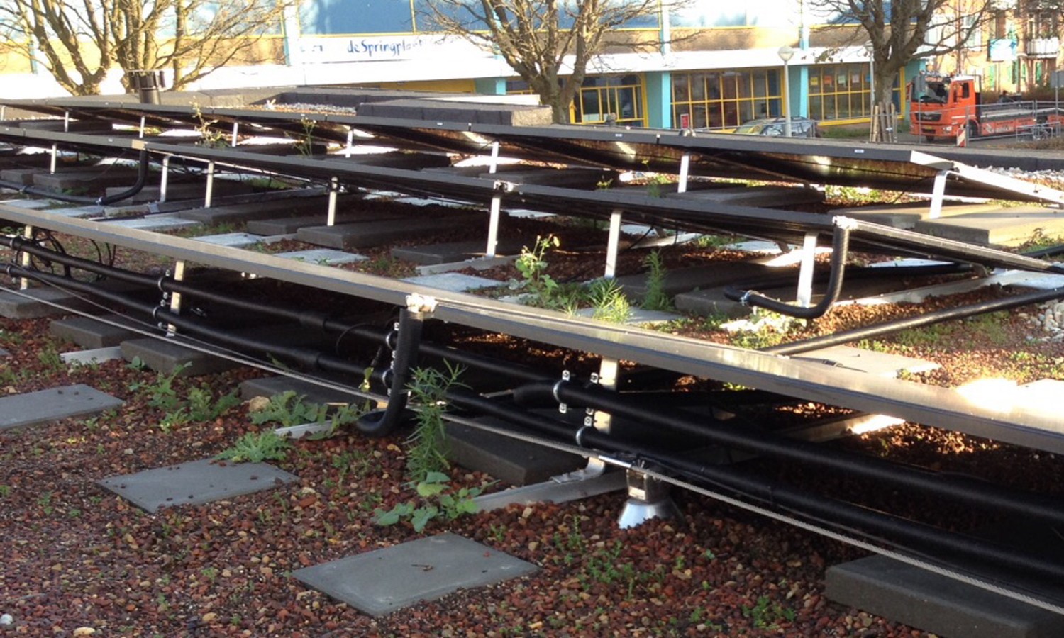 Triple Solar Amundsenhof PVT panelen met groendak